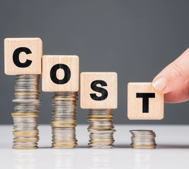 Cost Efficiency & ROI